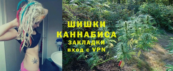 ПСИЛОЦИБИНОВЫЕ ГРИБЫ Заволжск