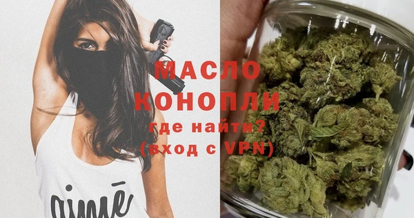дмт Заводоуковск