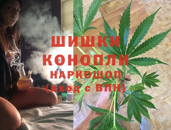 ПСИЛОЦИБИНОВЫЕ ГРИБЫ Заволжск