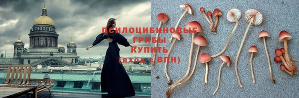 ПСИЛОЦИБИНОВЫЕ ГРИБЫ Заволжск