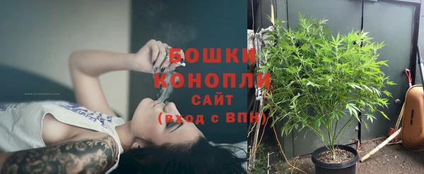 дмт Заводоуковск