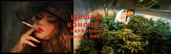 ПСИЛОЦИБИНОВЫЕ ГРИБЫ Заволжск