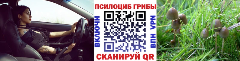 Галлюциногенные грибы Cubensis  даркнет сайт  Новая Ляля 